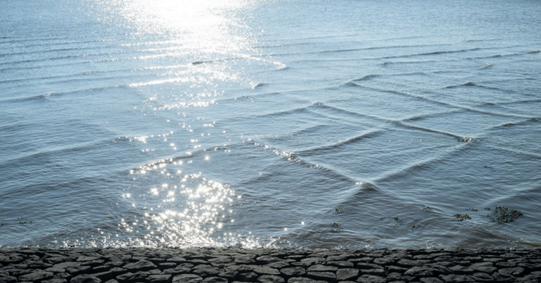 Here’s What To Do If You See Square Waves Forming In The Ocean - Featured image