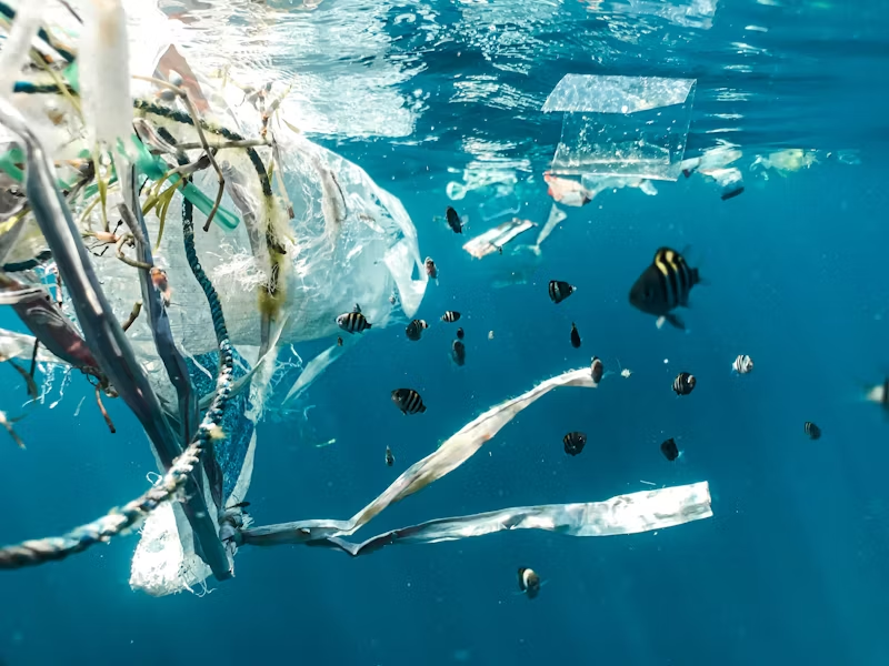ocean pollution