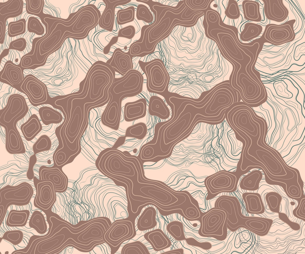 topography map