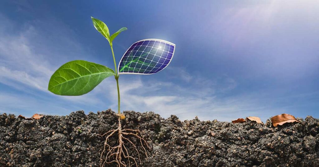 Scientists Unlock Quantum Secrets to Turn Leaves into Ultra-Efficient Solar Panels - Featured image