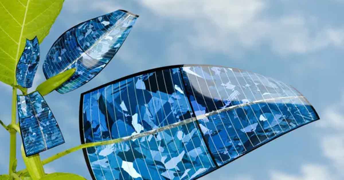 Interleaf Sheets Using In Solar Scientists Unlock Quantum Secrets to Turn Leaves into Ultra-Efficient ...