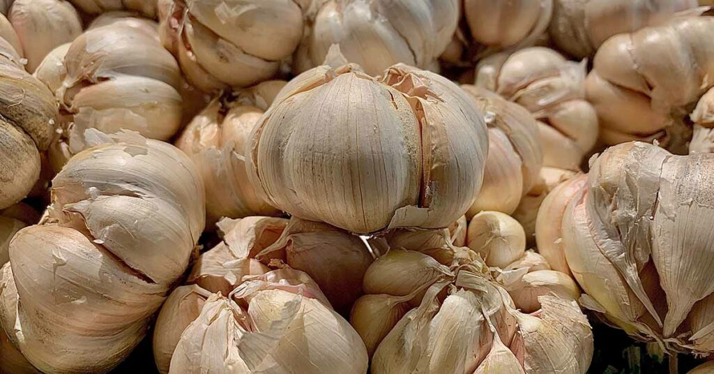 6 Reasons To Eat Garlic Before Going To Bed - Featured image