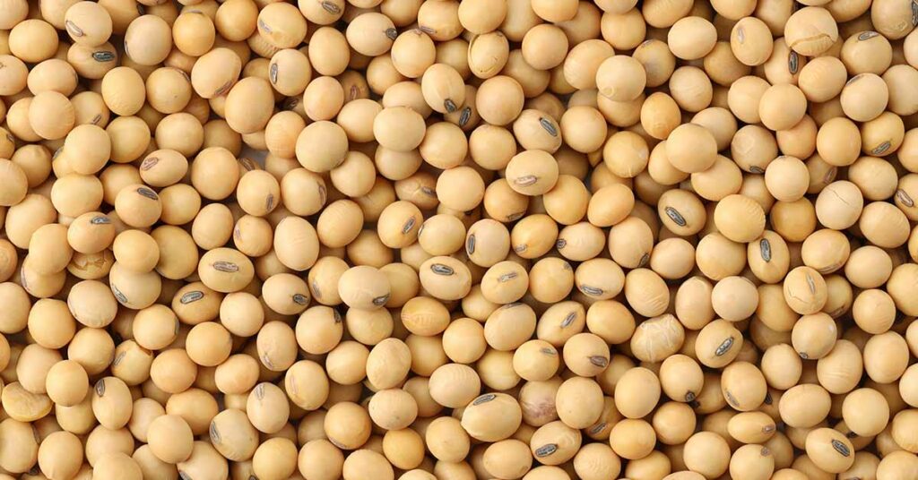 Should People with Thyroid Problems Avoid Soy? - Featured image