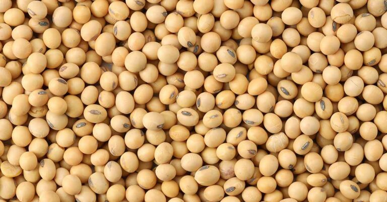 Should People with Thyroid Problems Avoid Soy? - Featured image