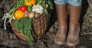 100 of The World’s Most Nutritious Foods wicker basket filled with vegetables and a person with rubber boots standing next to it