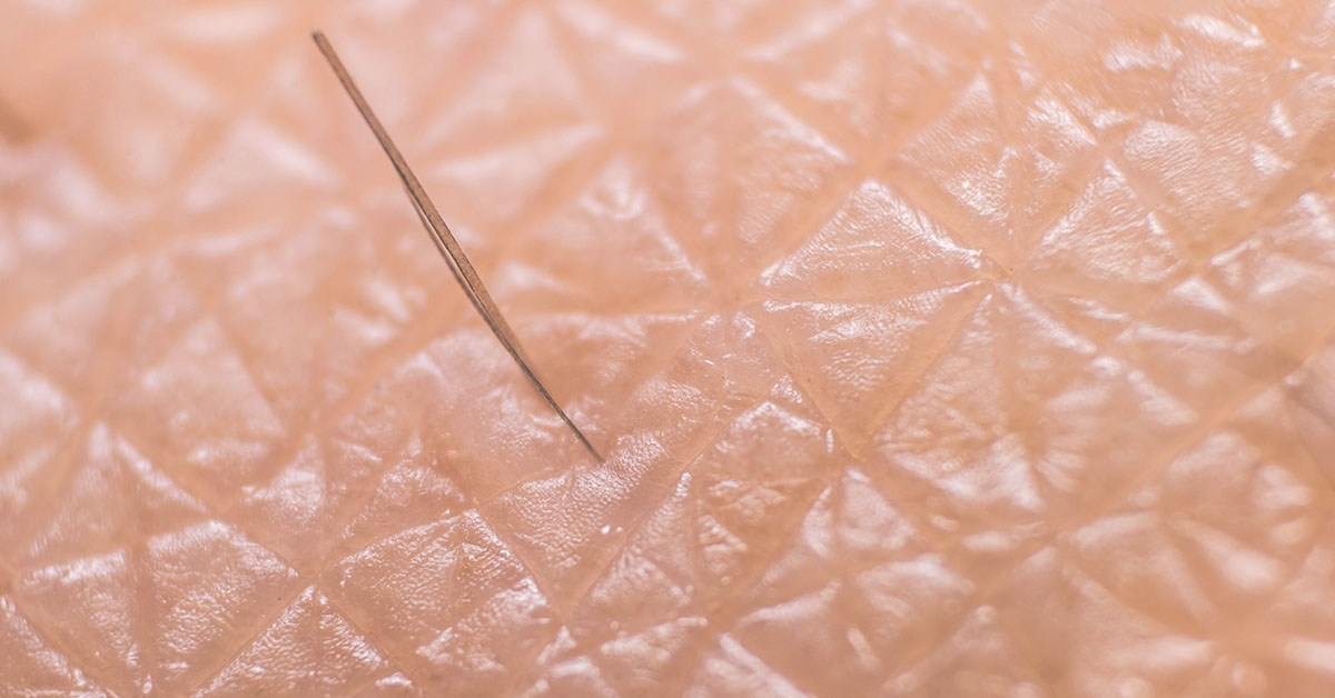 close up of skin and hair follicle
