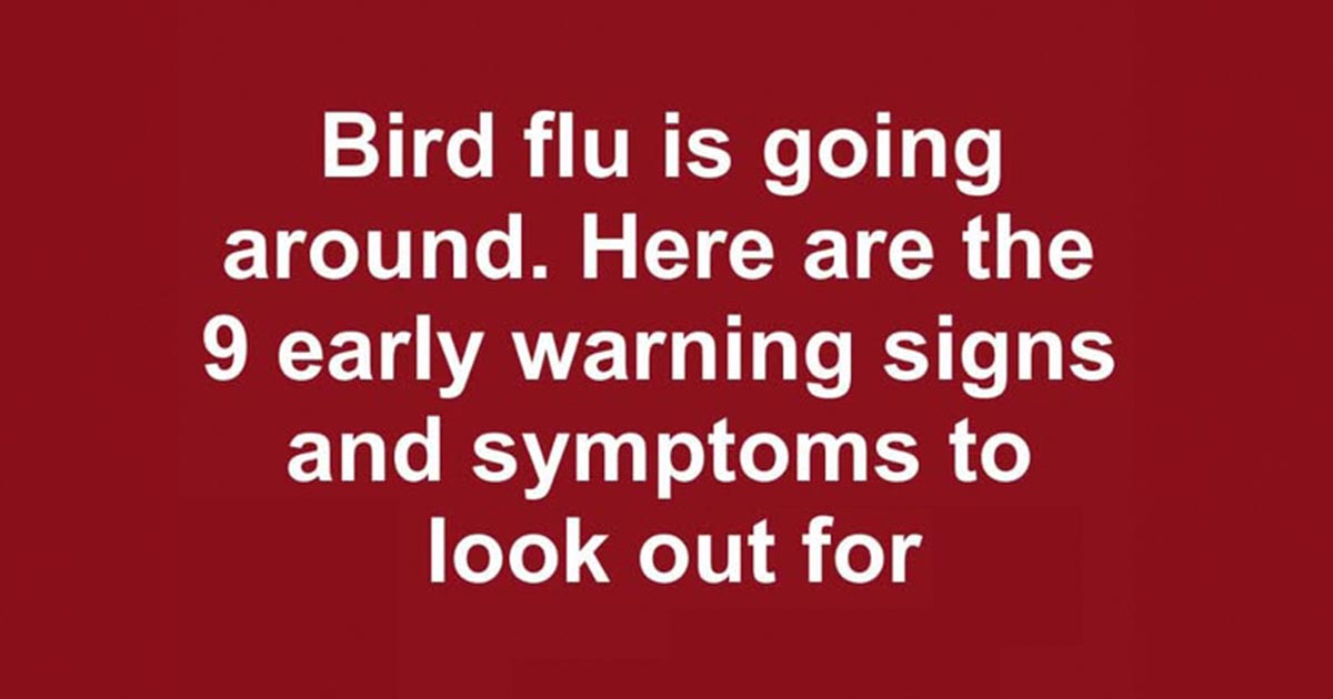 Symptoms of Bird Flu in Humans to Look Out For