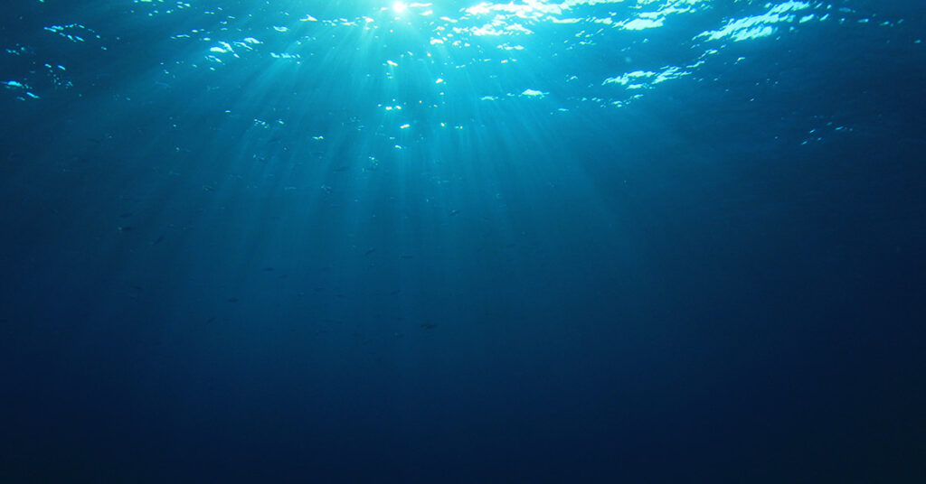 Incredible Footage Captures Moment Submarine Encounters Ancient Deep-Sea Creature Older Than Dinosaurs - Featured image