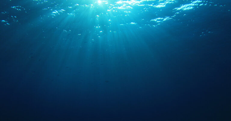 Incredible Footage Captures Moment Submarine Encounters Ancient Deep-Sea Creature Older Than Dinosaurs - Featured image