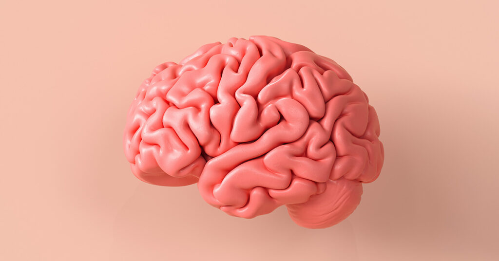 Inexpensive Daily Supplement Shows Potential to Improve Brain Function in Seniors - Featured image