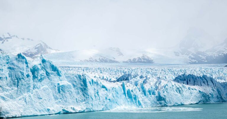 Camera Lowered Into Hole 93 Meters Beneath Antarctica Makes Stunning Discovery - Featured image