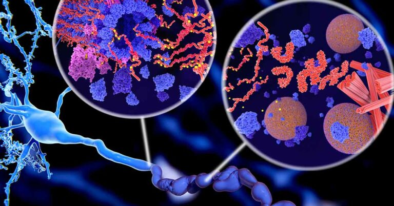 How New Research Is Targeting Toxic Tau Protein in Alzheimer’s Disease - Featured image