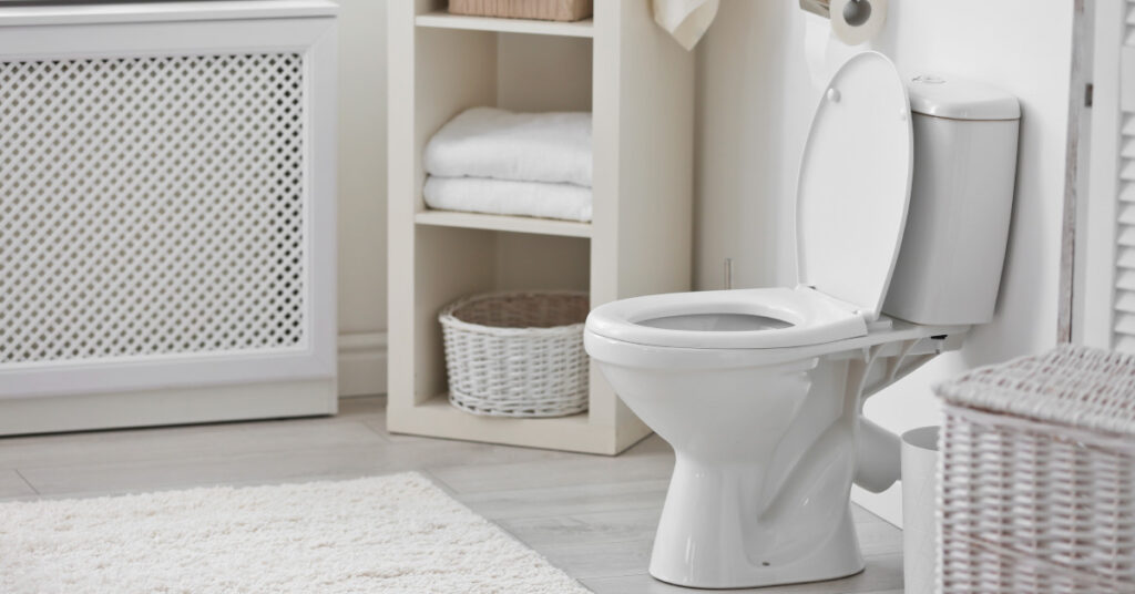 5 Creatures That Can Crawl In Through Your Toilet and How to Stop Them - Featured image