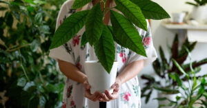 woman standing behind the leaves of and indoor plant