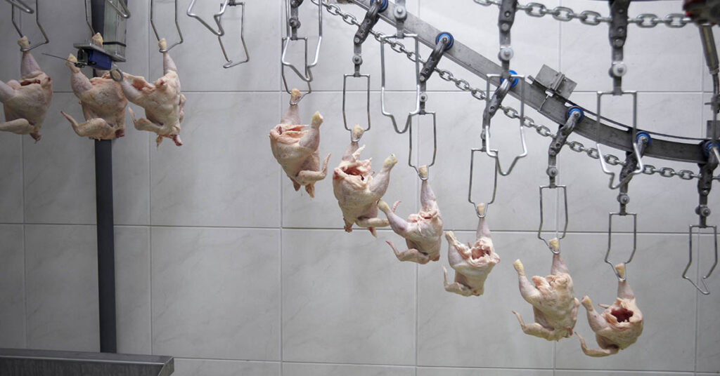 The Case For A Meat Tax: Will It Help Or Harm The Environment? - Featured image