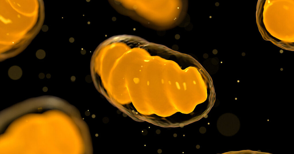 Mitochondria Transplants Could Revolutionize Disease Treatment and Increase Life Expectancy - Featured image