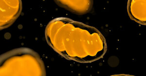 3d rendering representation of Mitochondria