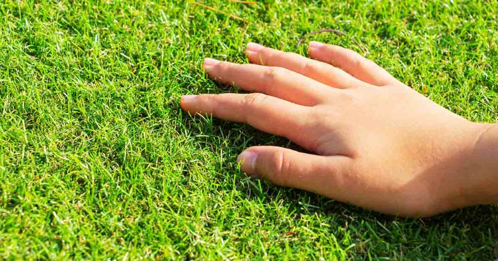 Mysterious ‘Heartbeat’ Detected in Earth Every 26 Seconds, Leaving Scientists Puzzled - Featured image