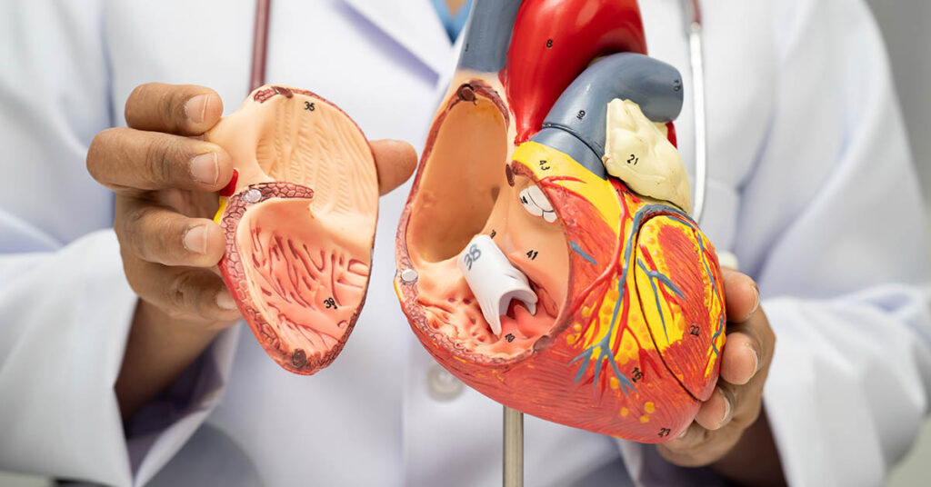Study Reveals Crucial Heart Marker Linked to Ischemic Stroke and Dementia Risk - Featured image