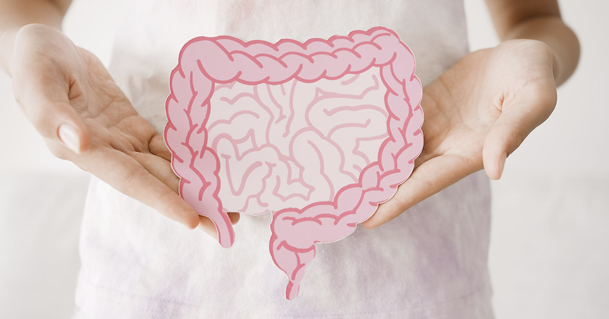 person holding cut out illustration of small and large intestine. Gut health concept