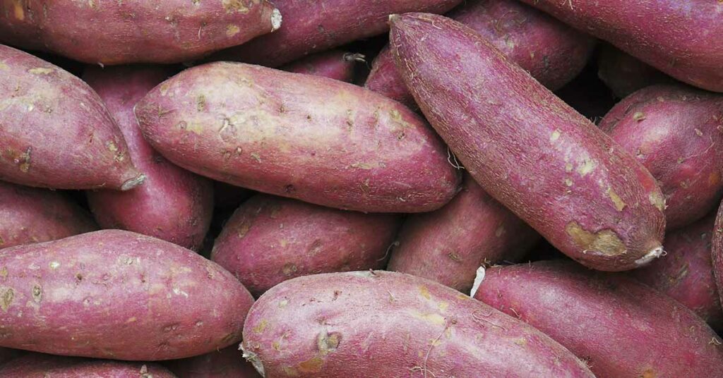 Sweet Potatoes are Healthy, But Is There Anyone Who Shouldn’t Eat Them? - Featured image