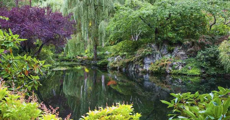 Engineer Claims Garden of Eden May Be Hidden Beneath Famed Historic Site - Featured image