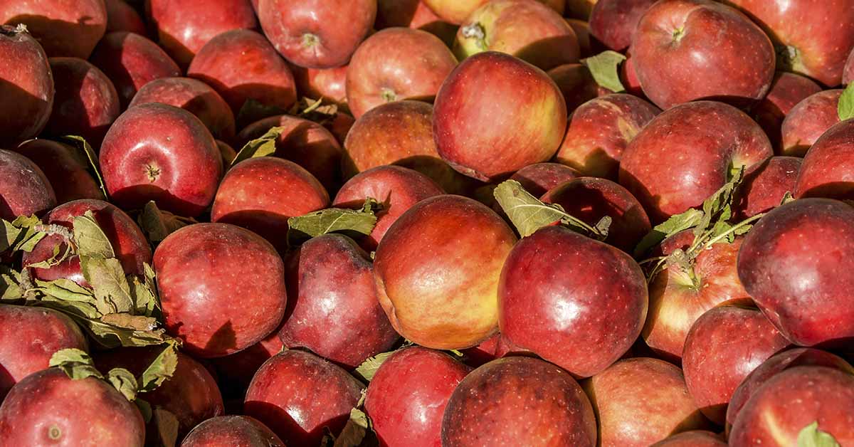 Red apples