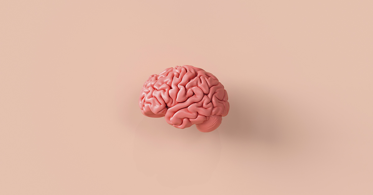model of human brain, peach colored background