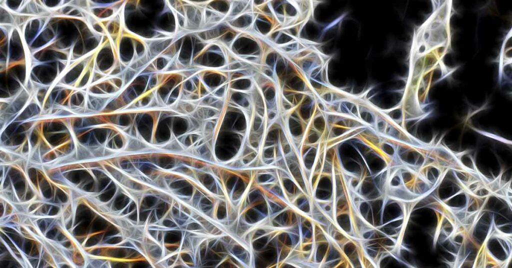 UCLA Discovers Groundbreaking Stroke Rehabilitation Drug That Reconnects Brain Pathways in Mice - Featured image