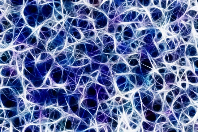 brain circuitry illustration