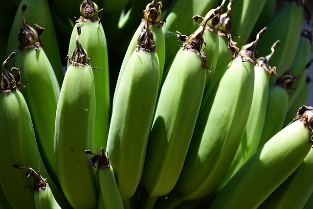 bananas
