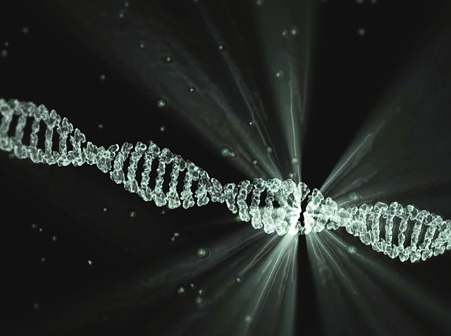 DNA strands