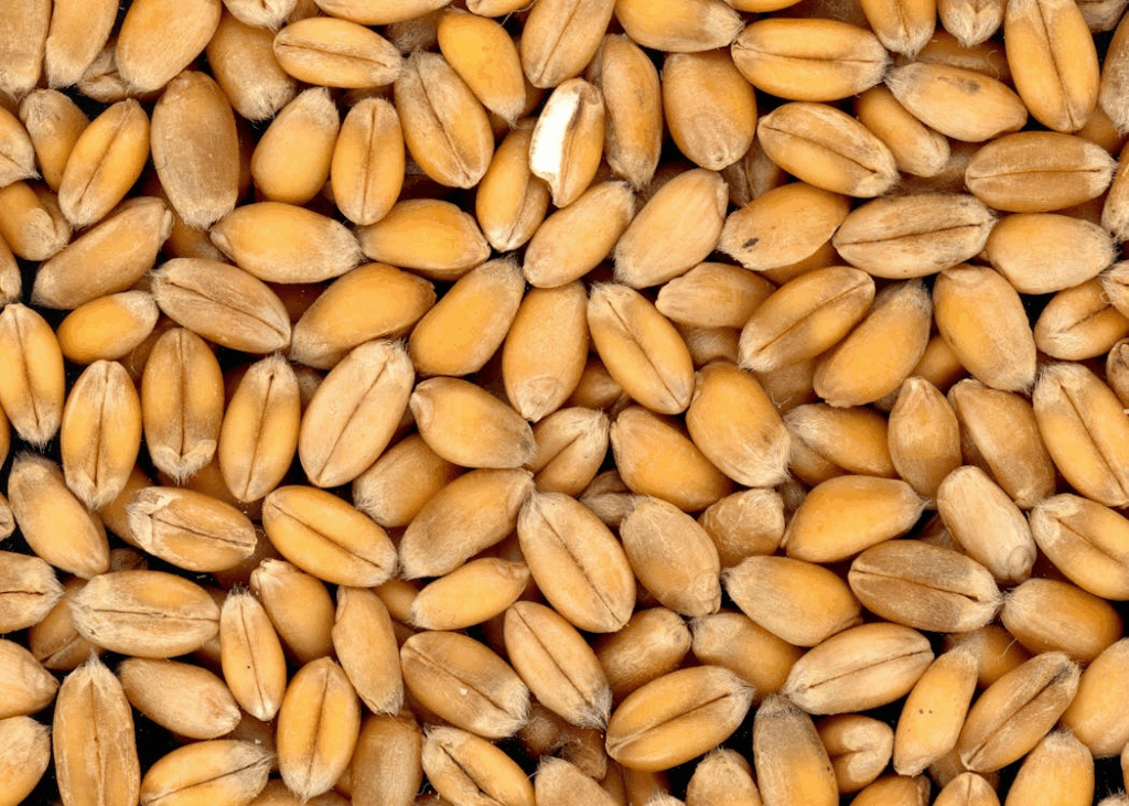 Peanuts