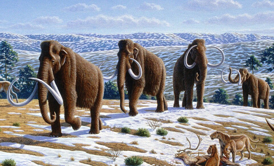 Woolly mammoths traversing an ice age landscape, depicting the era when the Mediterranean's mysterious circles began forming 21,000 years ago.