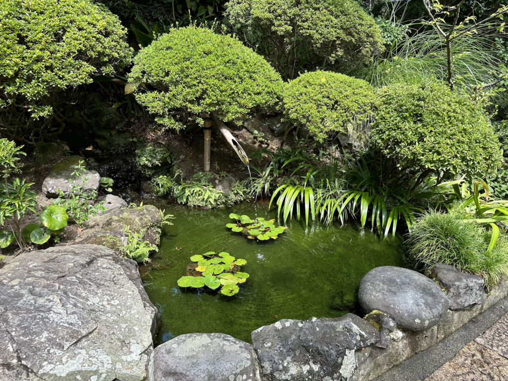 A peaceful garden pond with lily pads floating on green water, surrounded by natural stone borders and lush vegetation, creating an ideal habitat for attracting dragonflies and other beneficial insects.