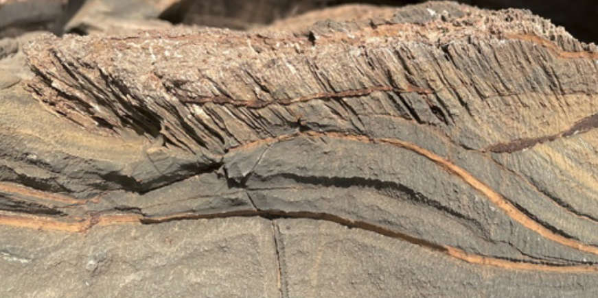 sample of the rocks discovered, showing small tunesl within the rock.