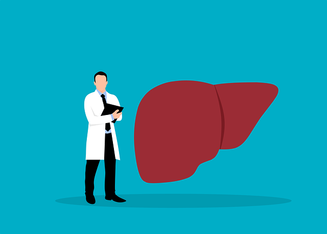 illustration of a doctor and human liver