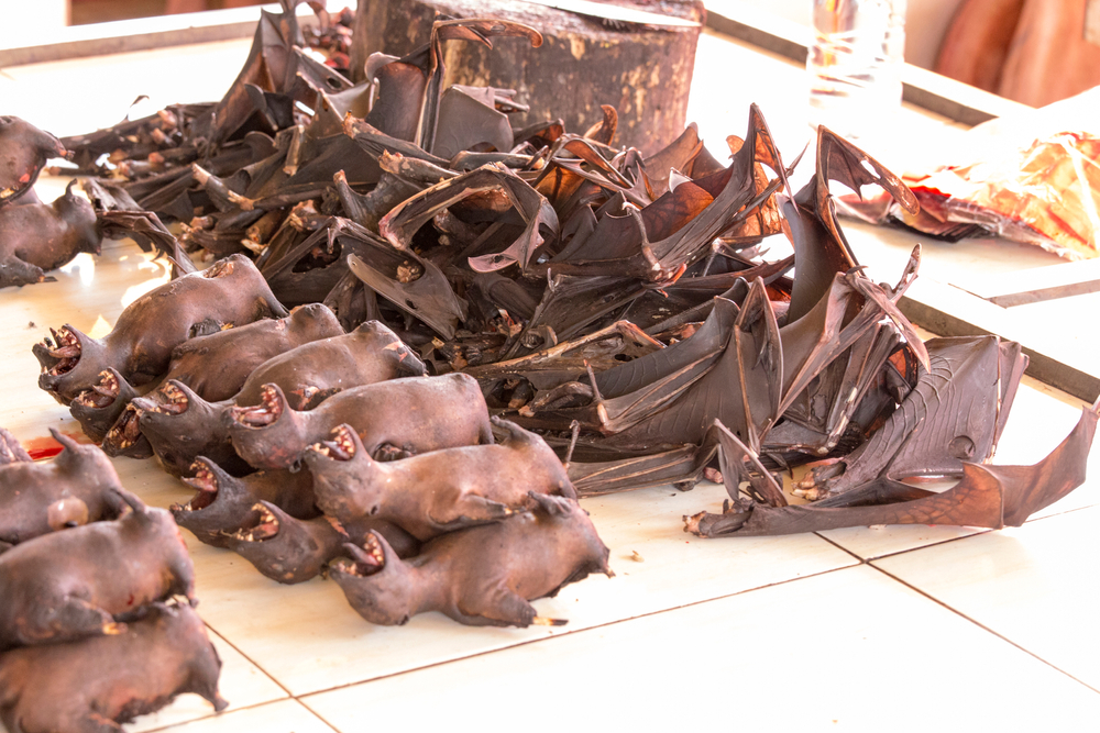 A traditional market in Asia where bats are sold as food among like other animals as dogs or snakes