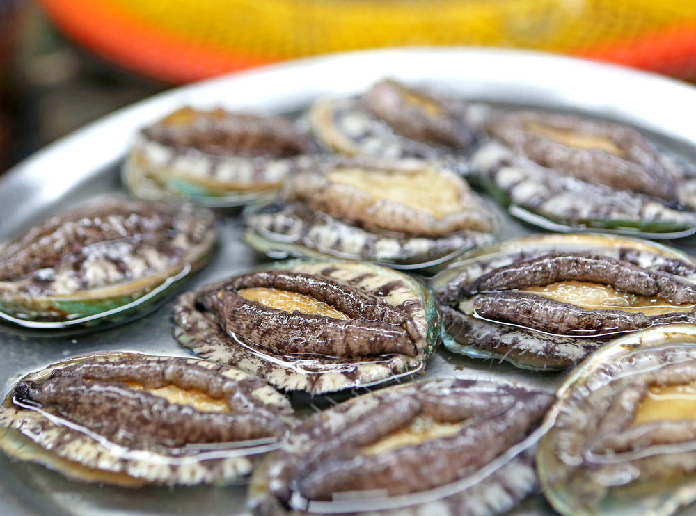Raw abalones for sale at Jagalchi Fish Market near Nampo-dong, Busan, Korea