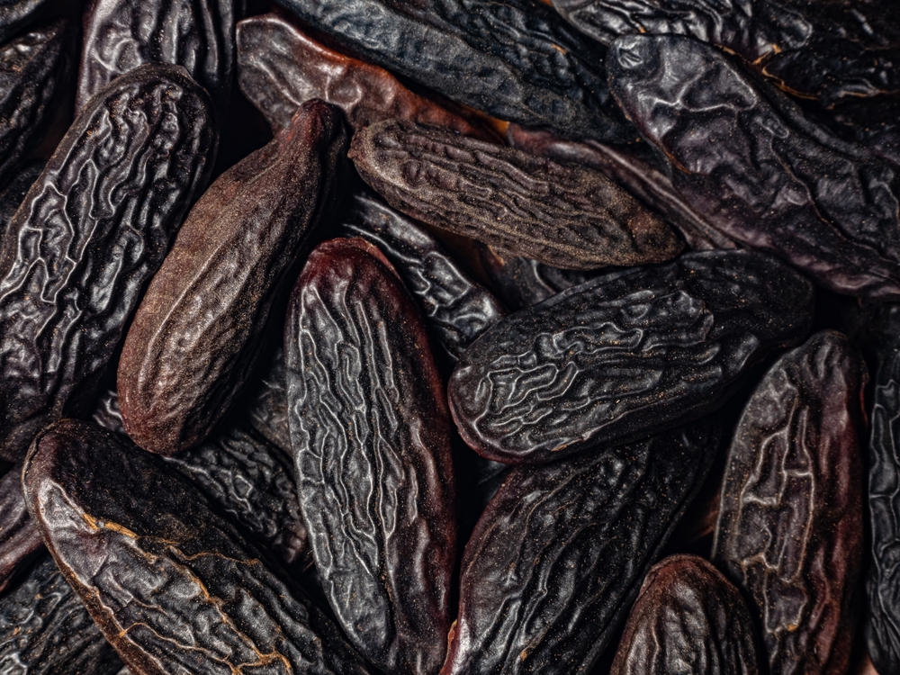 good food background from spices. macro photo of heap tonka beans in detail large root beans