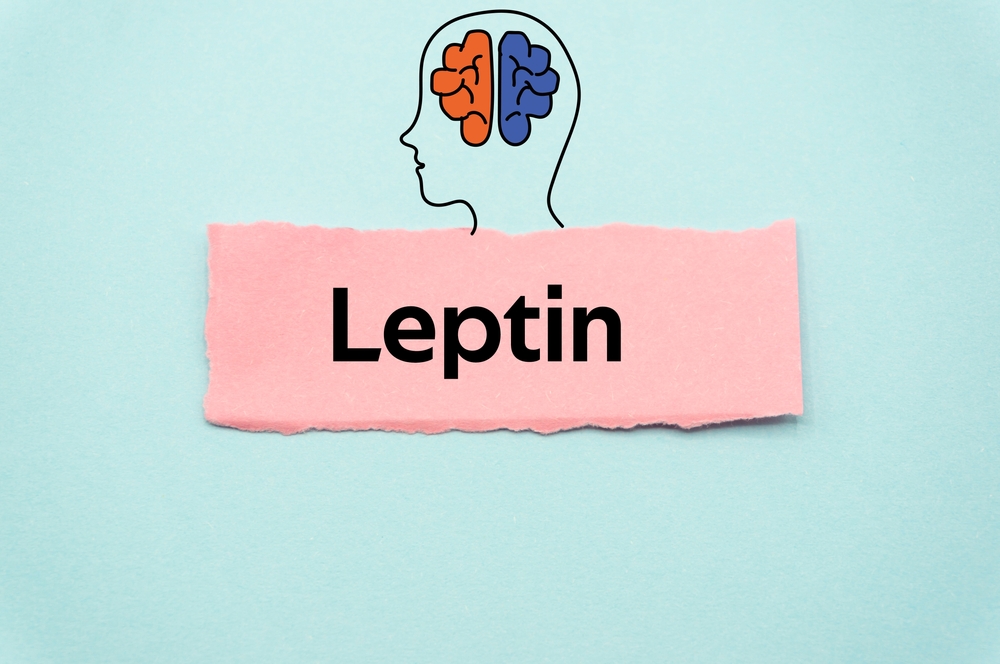 Leptin.The word is written on a slip of colored paper. Psychological terms, psychologic words, Spiritual terminology. psychiatric research. Mental Health Buzzwords.
