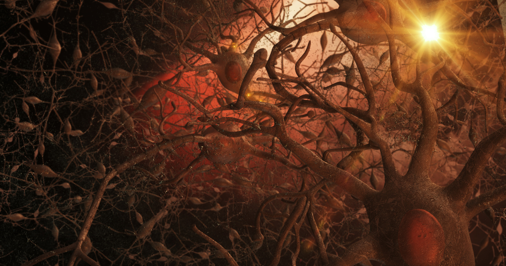 Microscopic view of 3D neurones within the brain, showing semi-transparent network of nerves, interneurons, axons, axon terminals, dendrites, synaptic clefts, nucleus, and cell body with background.