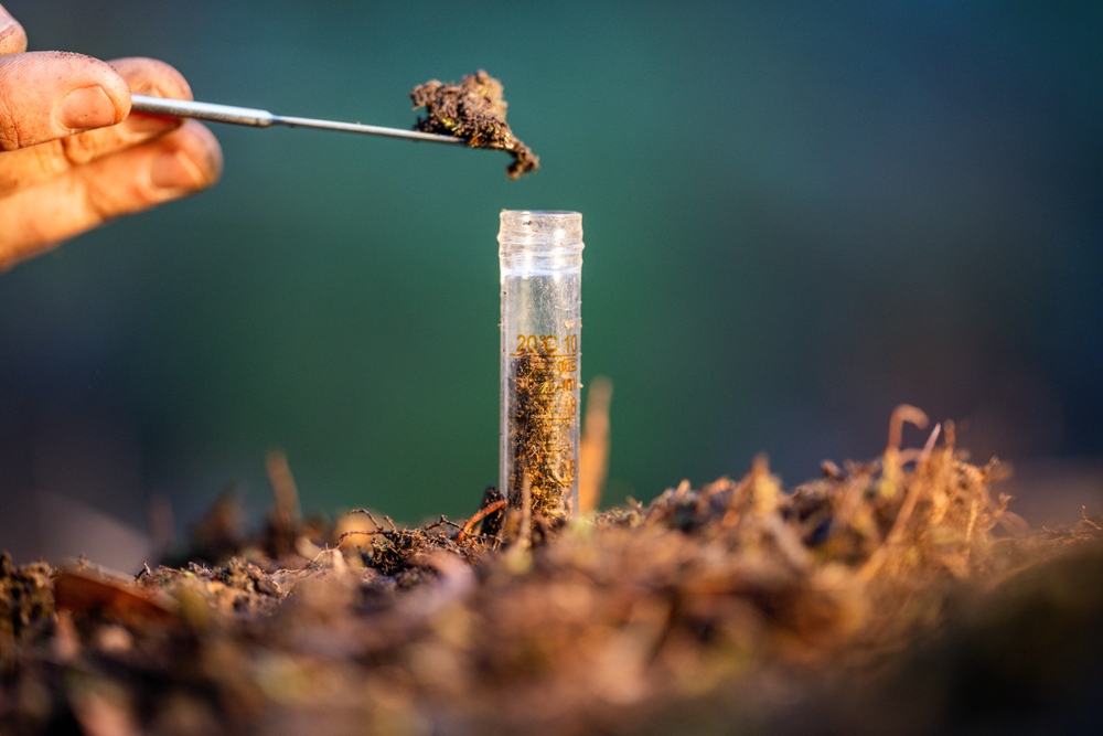 farmer collecting soil samples in a test tube in a field. Agronomist checking soil carbon and plant health on a farm