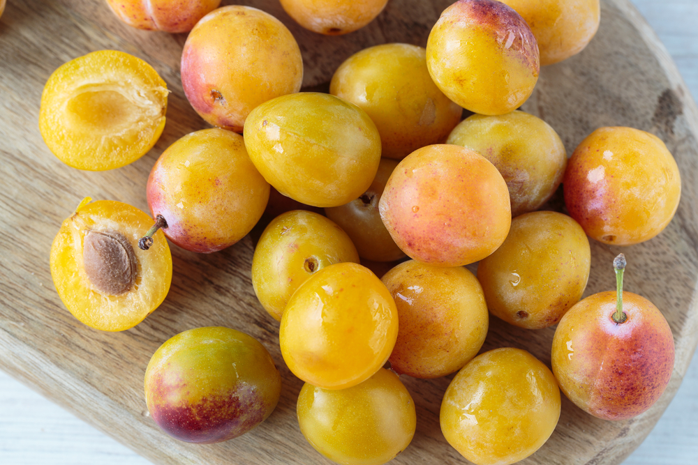 Bunch of fresh sweet Mirabelle plums