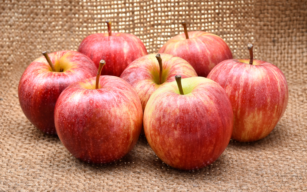 Gala apples isolated on brown fabric