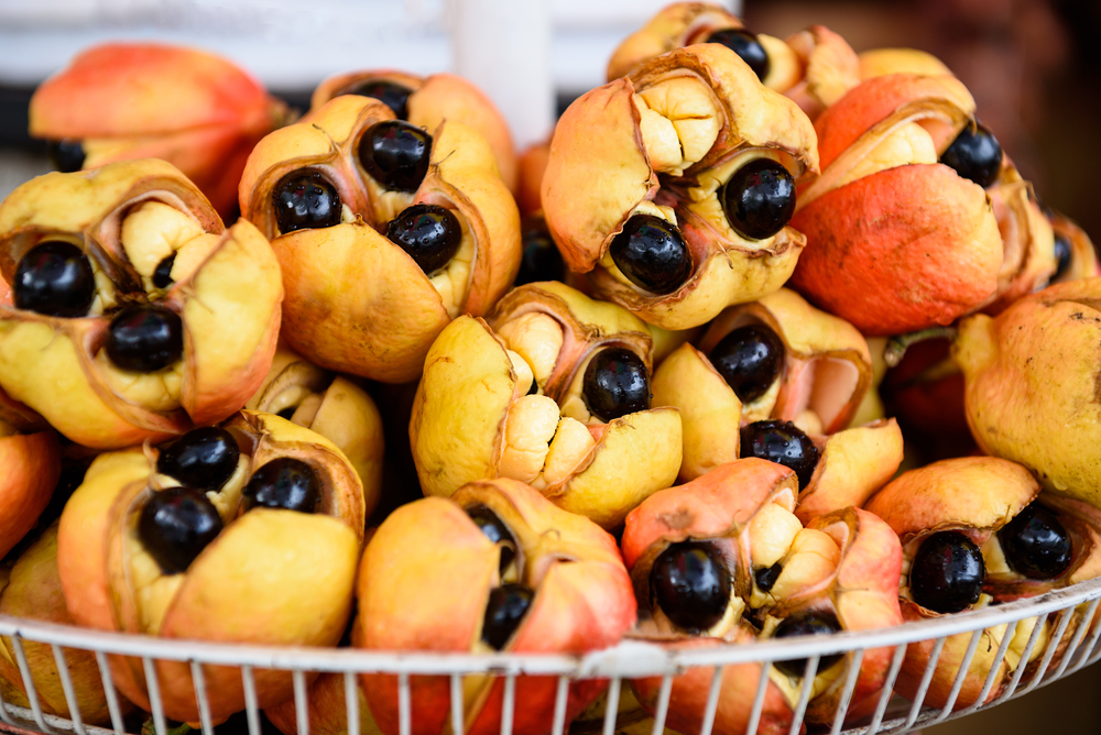 A basket of raw Jamaican ackees in their pods; blighia sapida