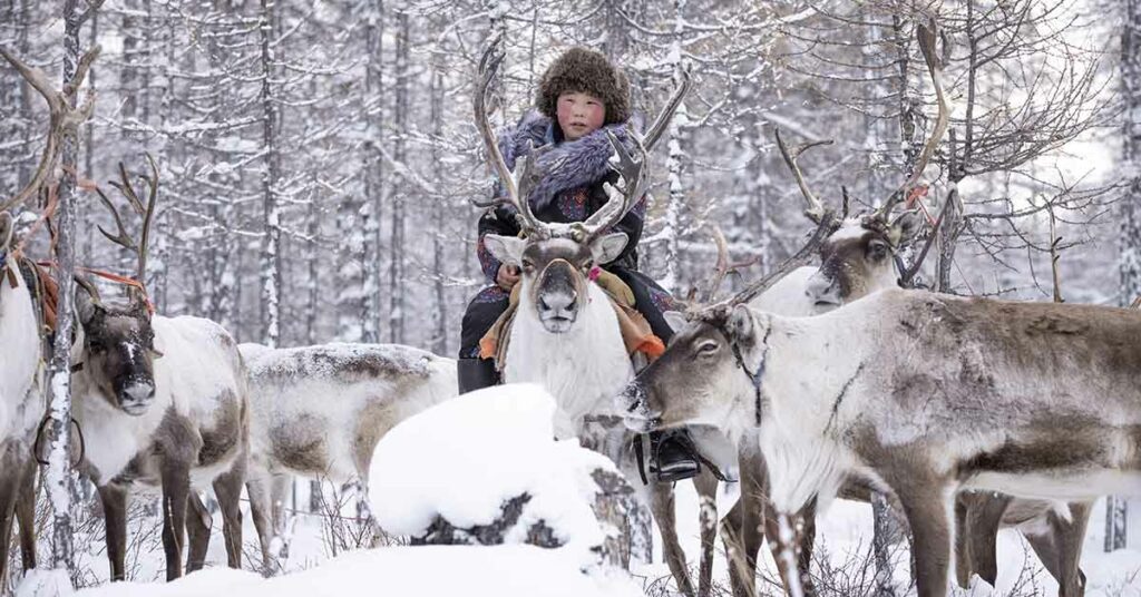 Discover the Dukha: Mongolia’s Reindeer-Riding Nomads Living in Seclusion - Featured image
