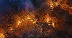 wildfires / forest fires seen from above
