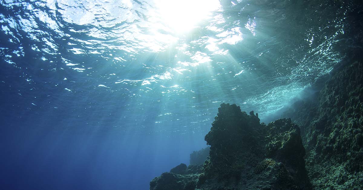 Sun shining through water. Seen from underwater