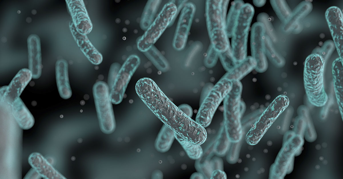3d rendering, close up of rod shaped bacteria.